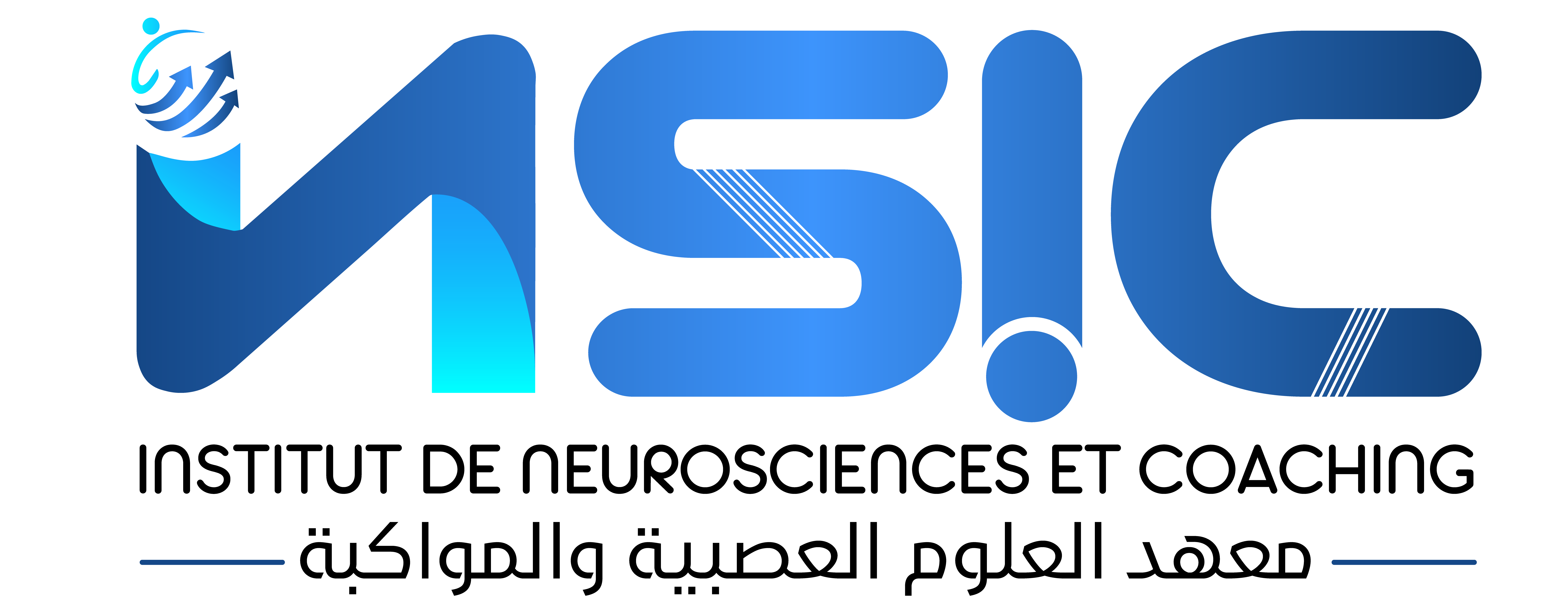 insic logo